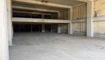 WhatsApp Image 2026-07-28 at 12.05.30.jpeg